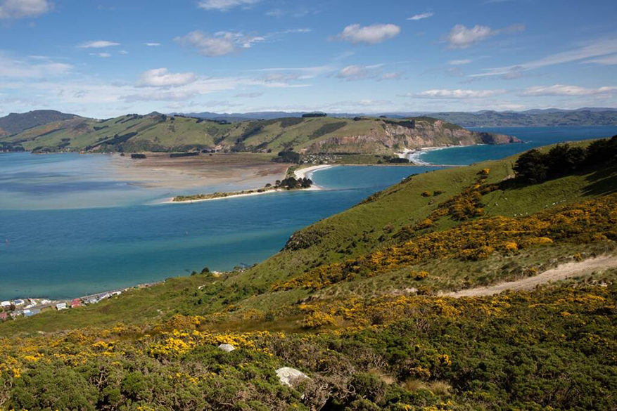 Otago Peninsula